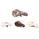 S & M Slim Pivotal Seat Camo Shield Wrap